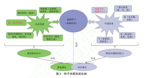 物联网技术研发 赋能2021年生物技术新突破